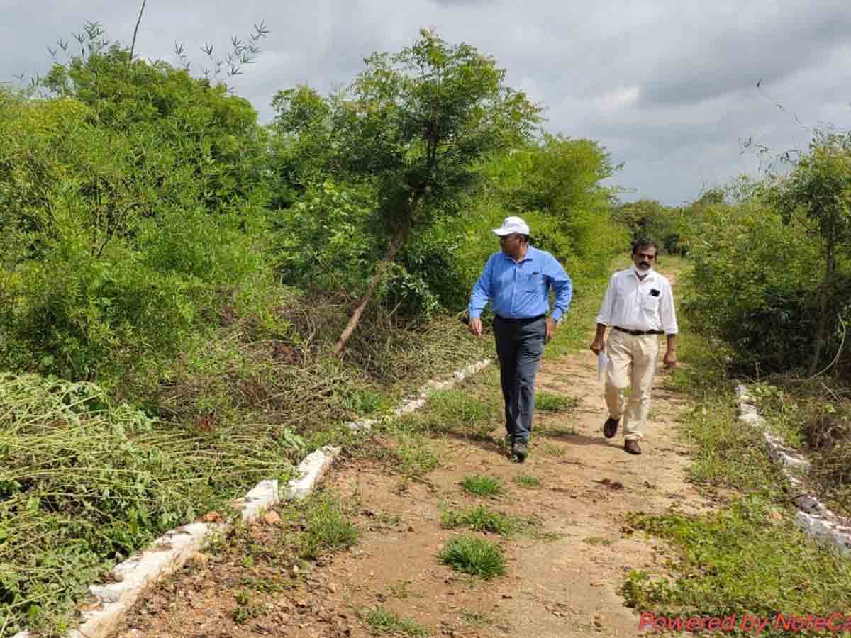 చౌటుప్పల్: హరితహారంలో యావత్ దేశానికే ఆదర్శం.. తెలంగాణ