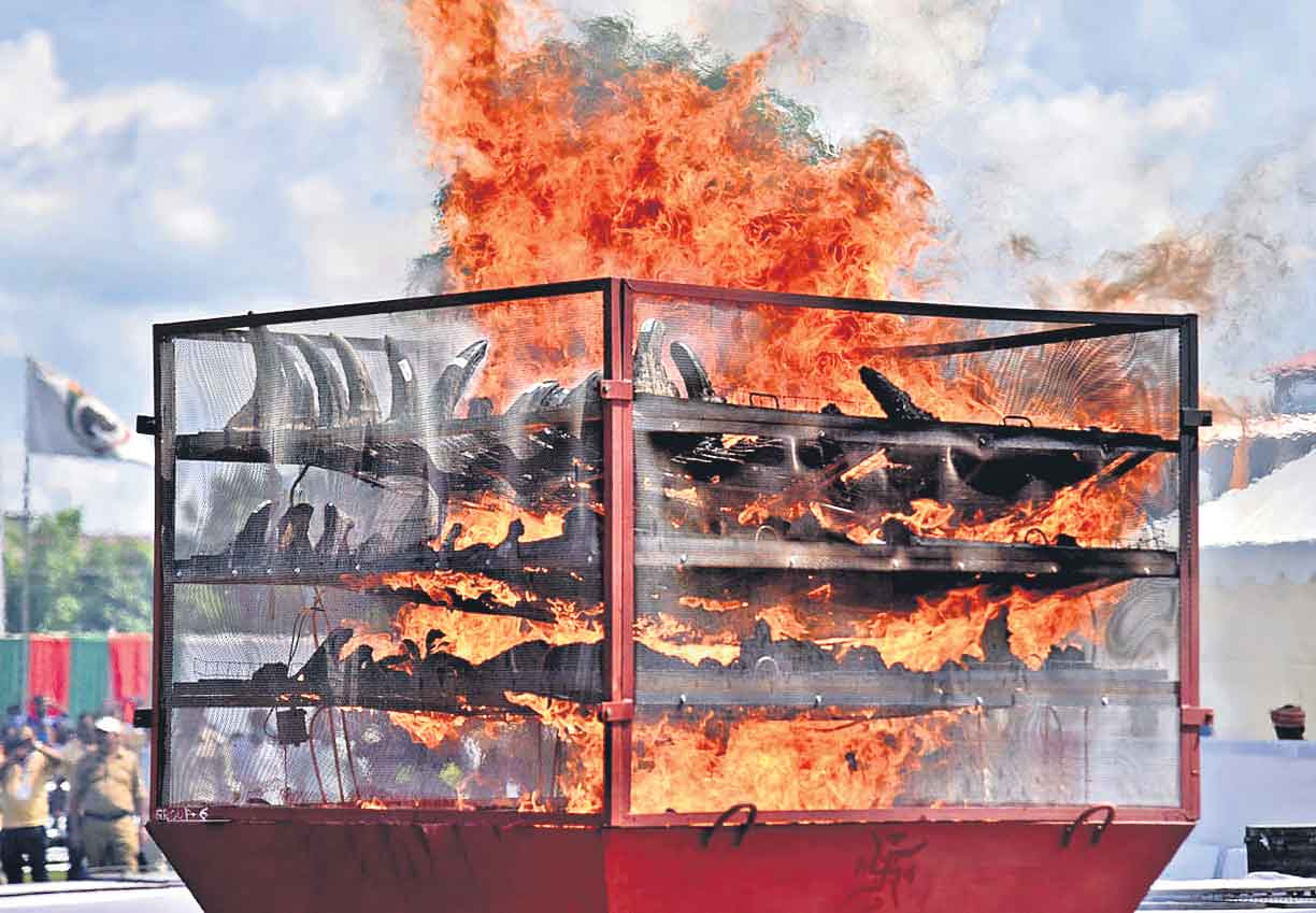 2,479 ఖడ్గమృగాల కొమ్ముల కాల్చివేత