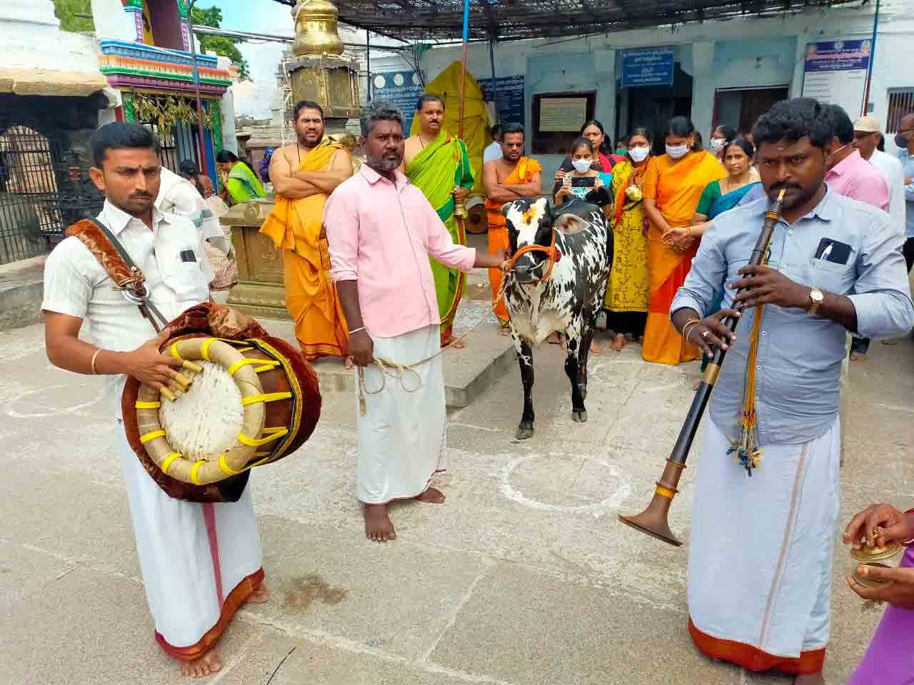 Nallamala | పదండి పోదాం.. కనువిందు చేస్తున్ననల్లమల జలపాత అందాలు