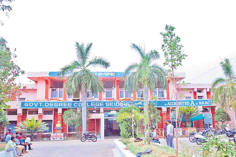 ఉన్నత విద్య