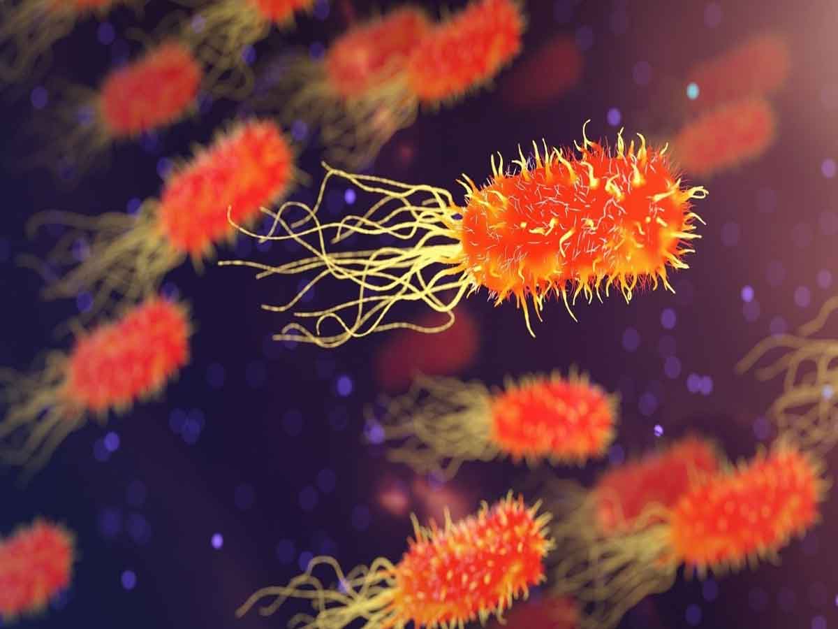 Saving Bacteria : విషపూరిత నీరు తాగినా.. ఈ బ్యాక్టీరియా మనల్ని కాపాడుతుంది!