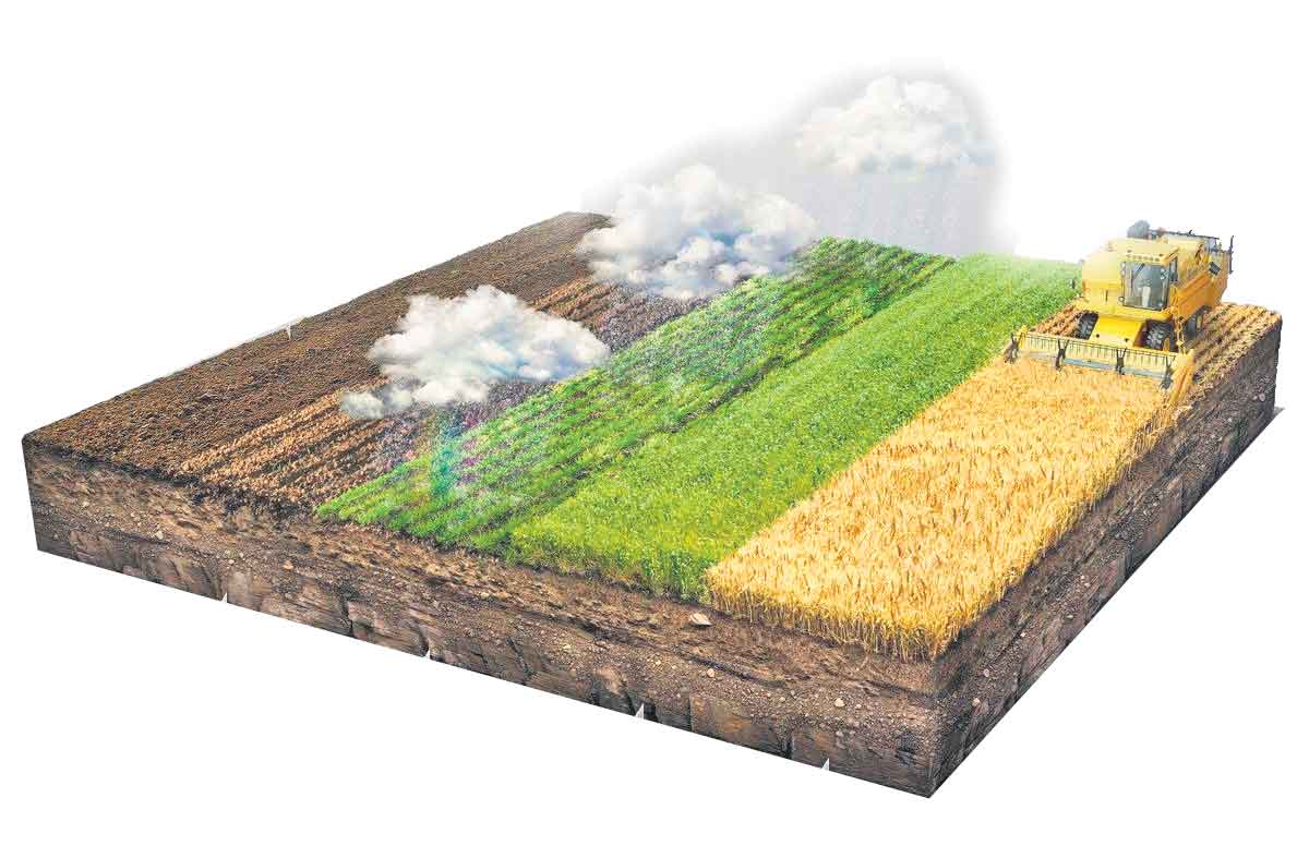 దిగుబడులపై భారీ అంచనాలు