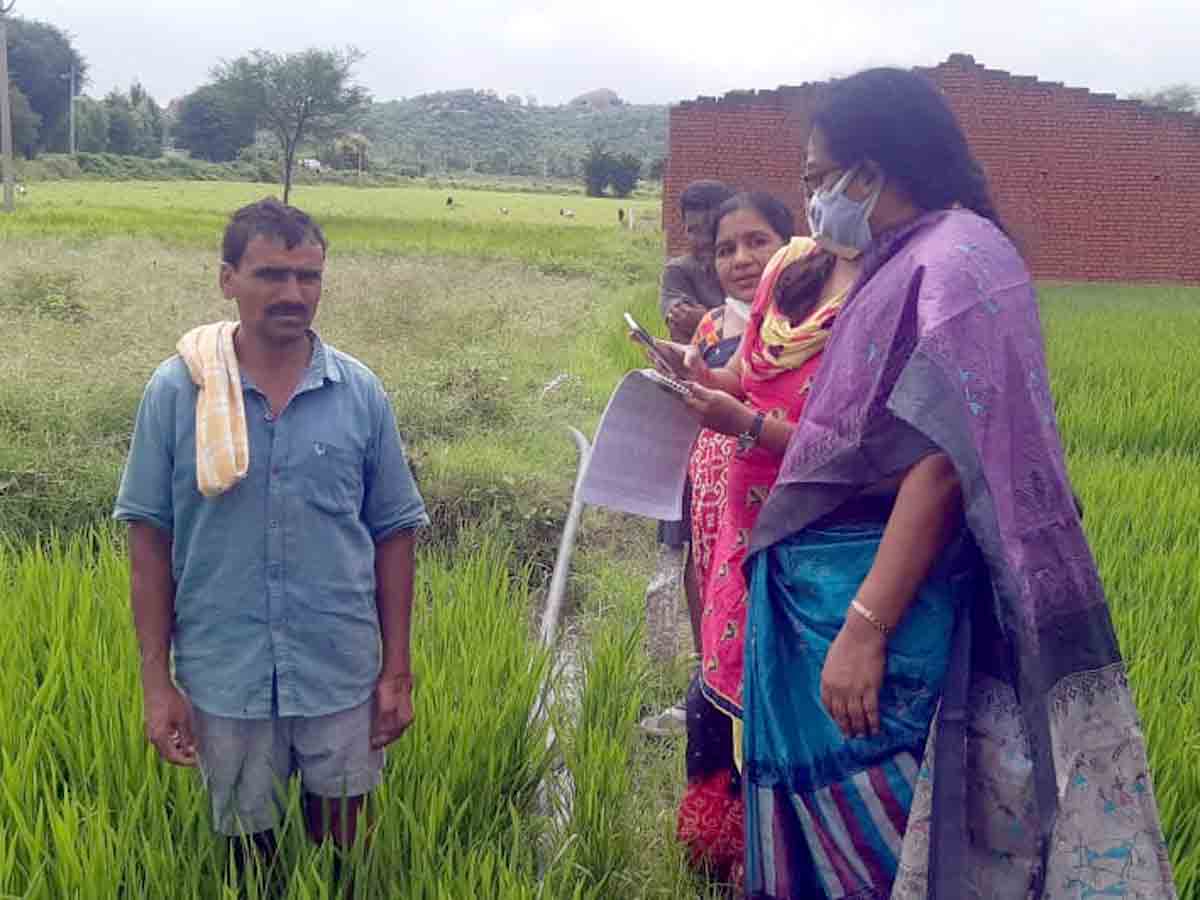 Amangal : పంట వివరాలను పకడ్బందీగా నమోదు చేయాలి