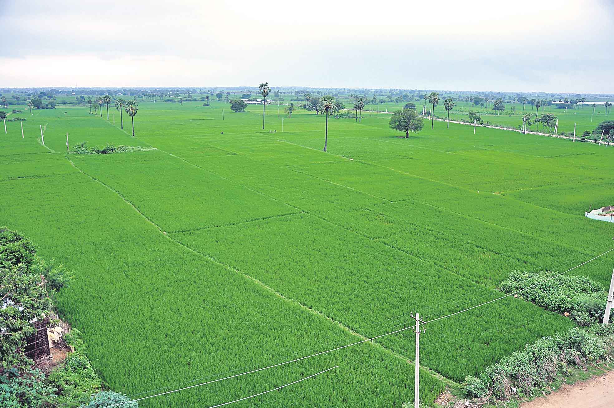 3 నదులు.. 6 లక్షల ఎకరాలు