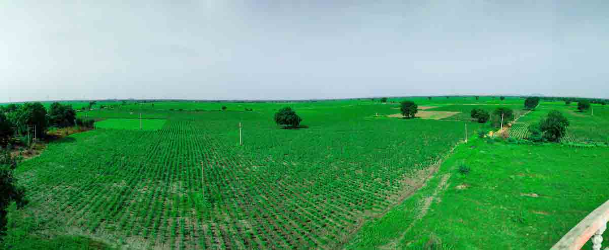 ఏడేండ్లలో.. 8.42 లక్షల ఎకరాలు