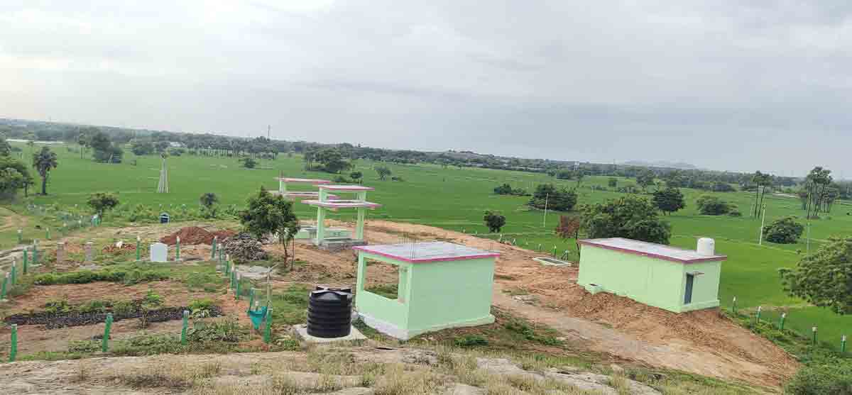 అభివృద్ధిలో రారాజు