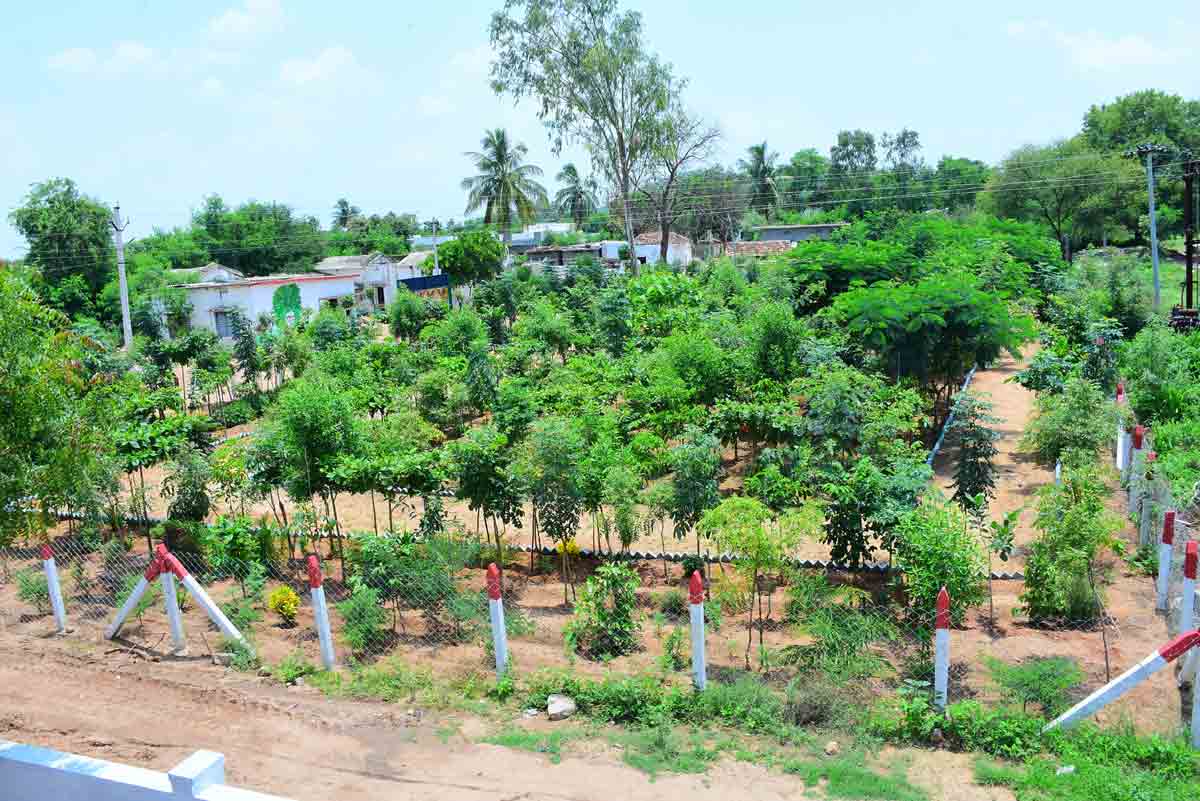 ప్రగతి దిద్దిన పల్లెలు