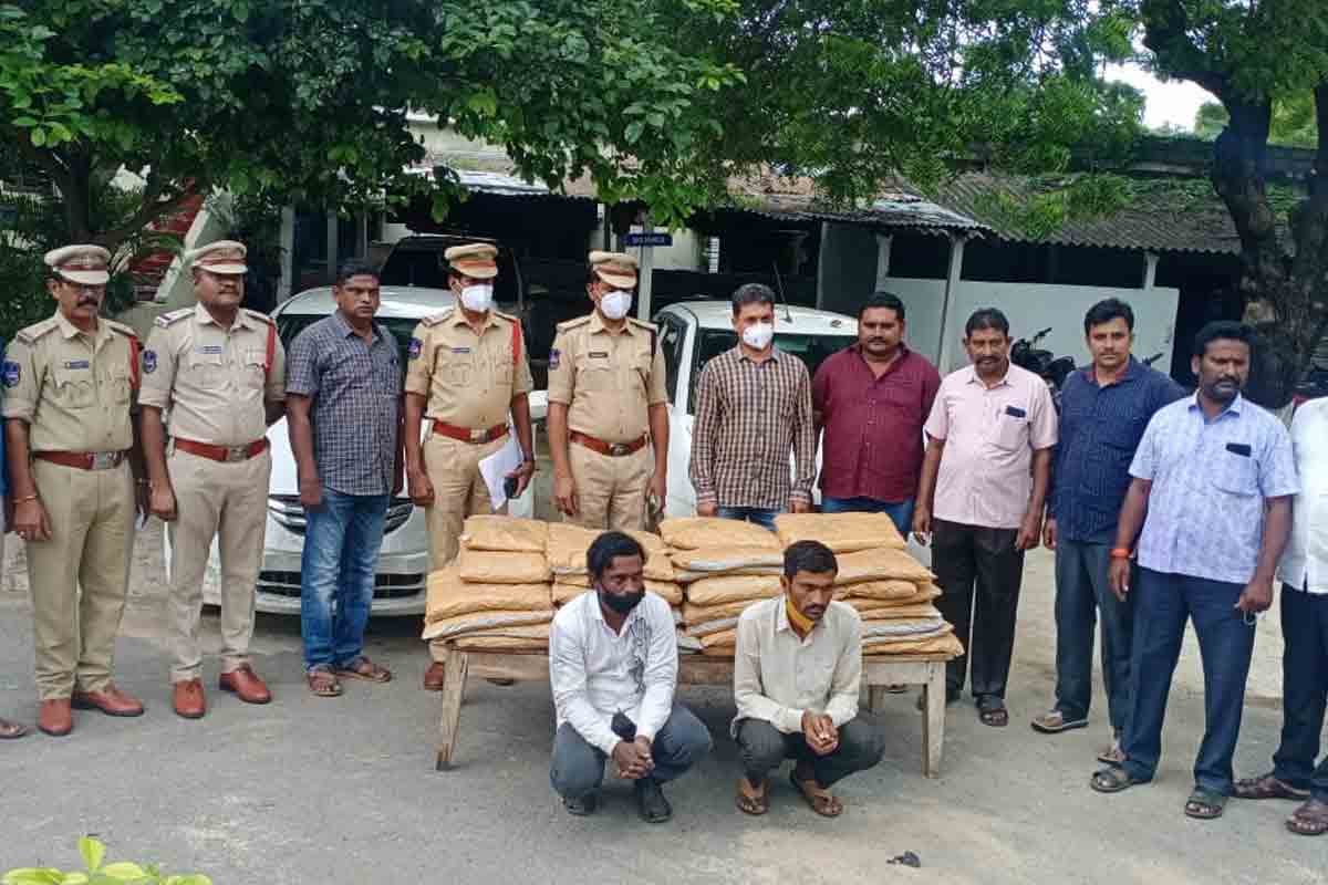 సూర్యాపేటలో గంజాయి పట్టివేత