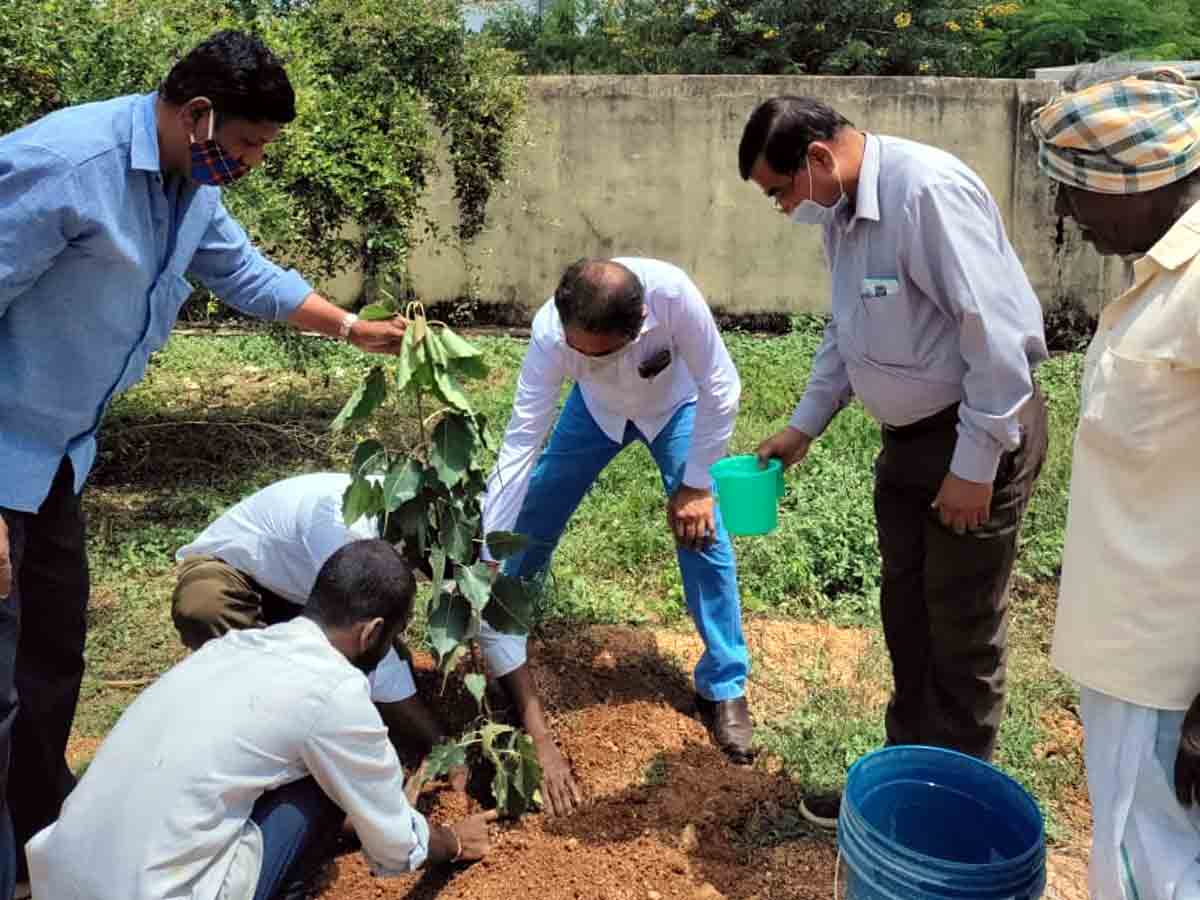 Kotpally : కోట్‌పల్లి మండలంలో అడిషనల్‌ కలెక్టర్‌ పర్యటన