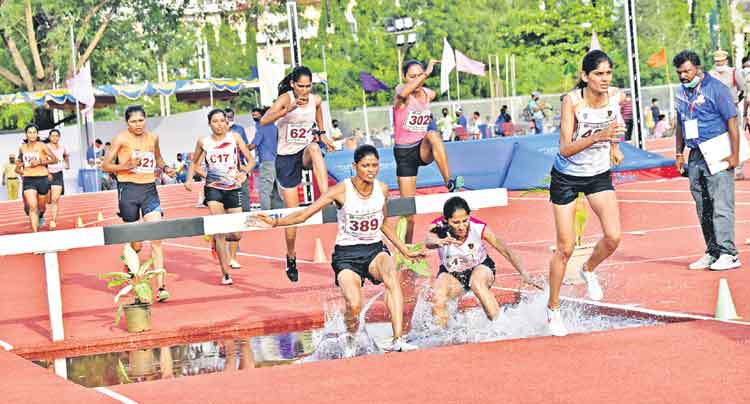 పారుల్‌ డబుల్‌ గోల్డ్‌