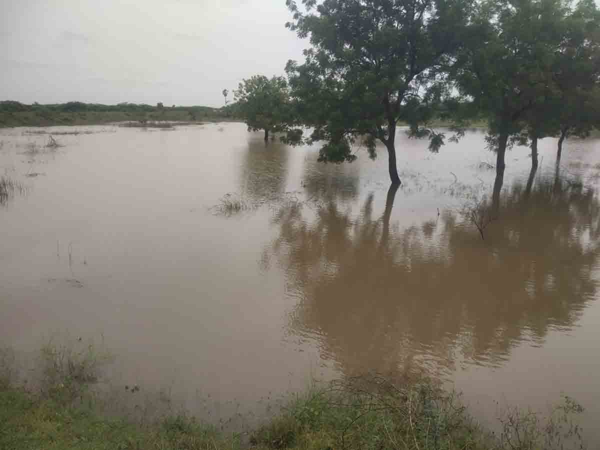 మిషన్‌ కాకతీయ పుణ్యం చెరువుల నిండా జలం