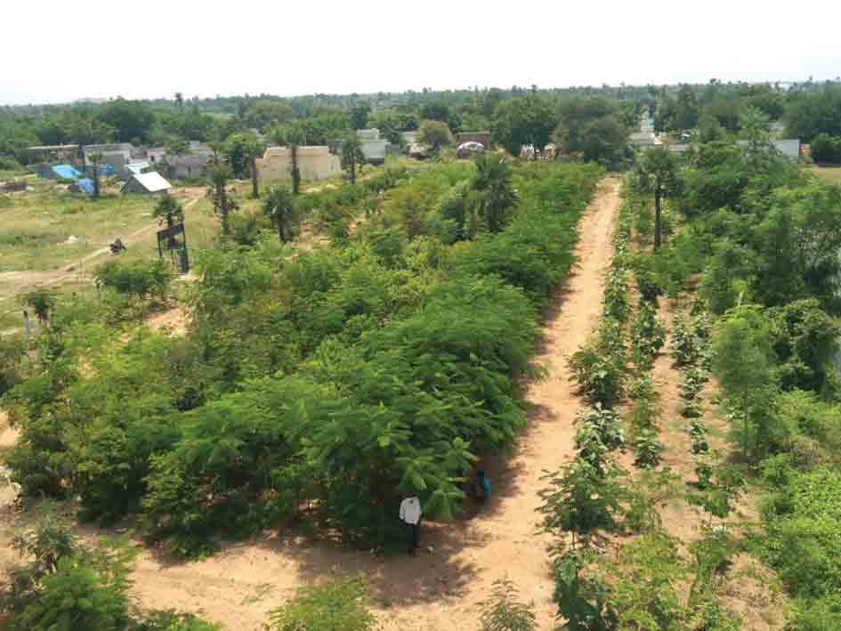 పల్లెల్లో మెగా పార్కులు