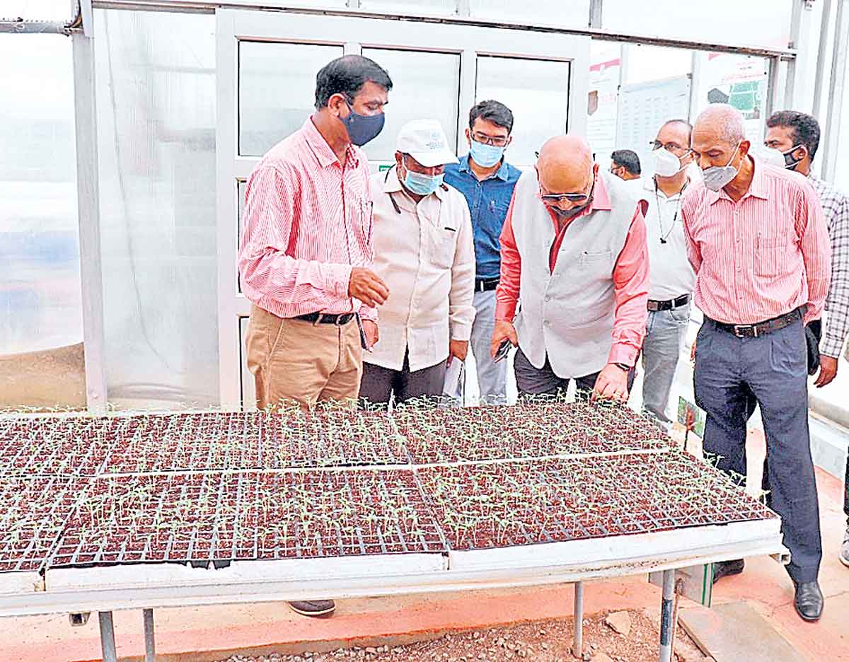 లాభసాటి పంటలు మేలు..