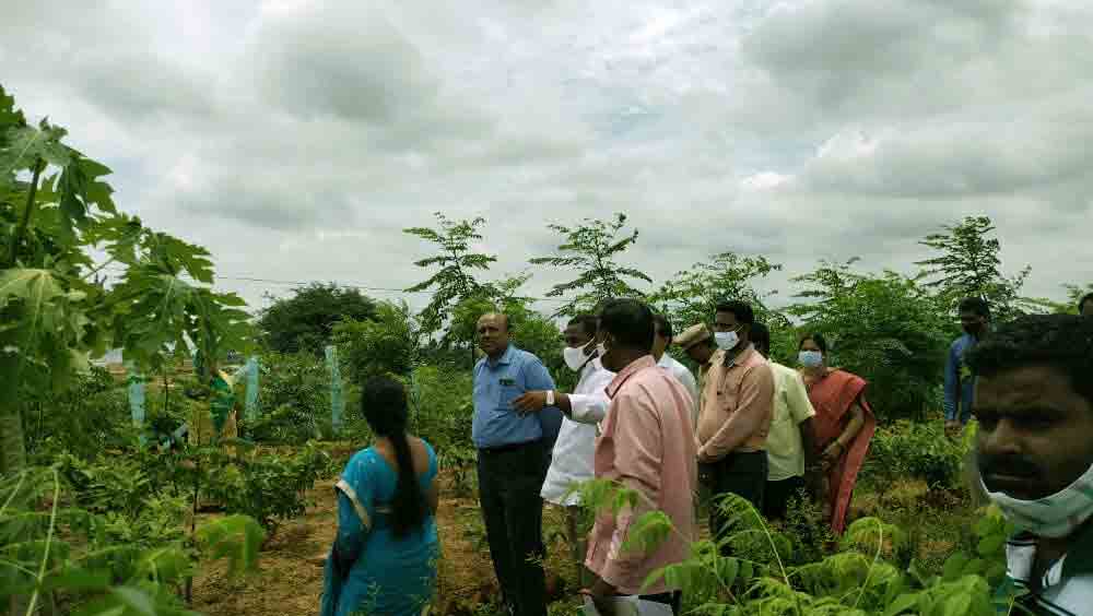 దేశానికే ఆదర్శం హరితహారం