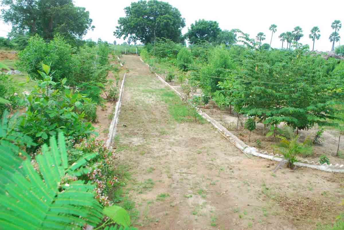 చీకటిమామిడిలో.. ప్రగతి వెలుగులు