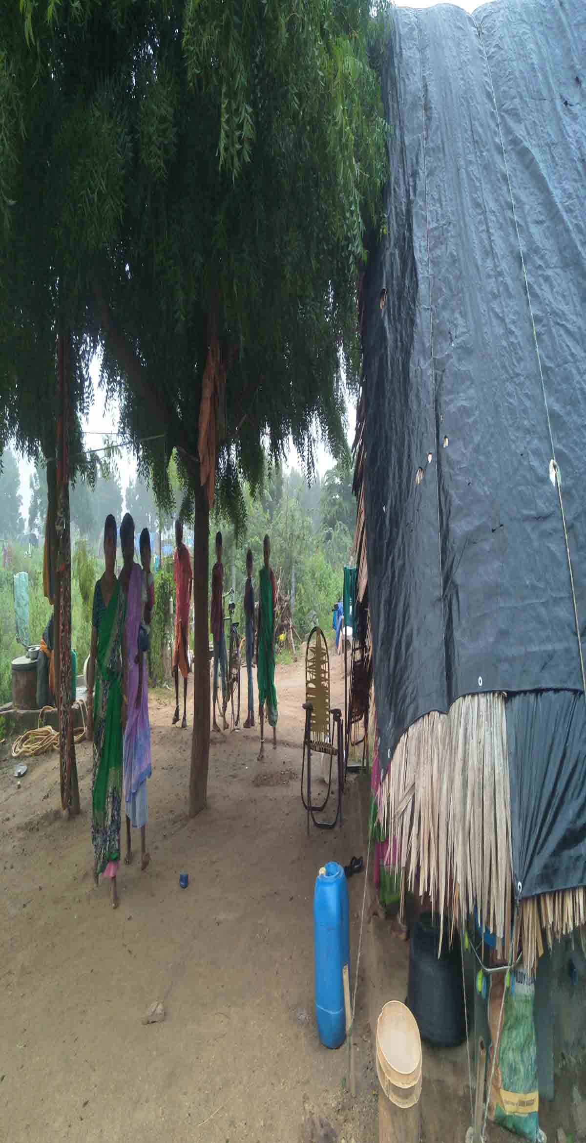 దళిత బంధుకు ఎక్కడెన్ని కుటుంబాలంటే..