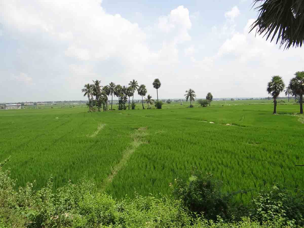 ఆలగడపలో పారిశ్రామిక పార్కు