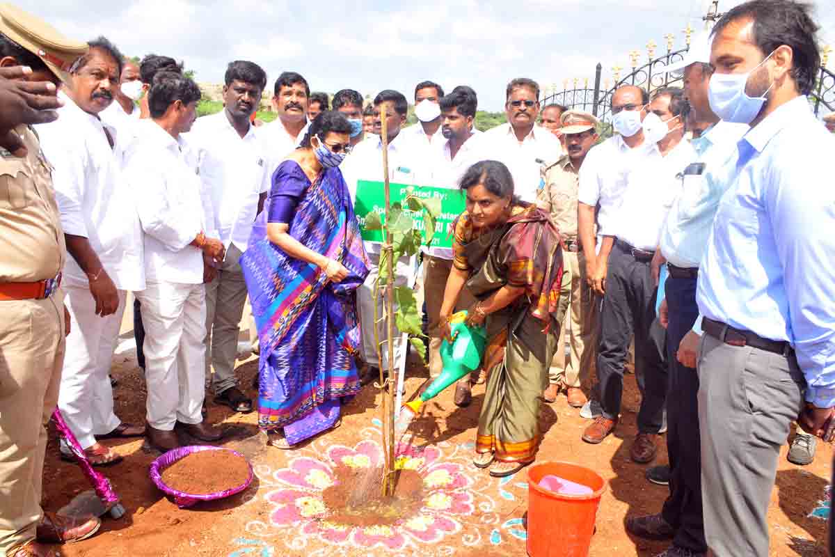 హరిత తెలంగాణ