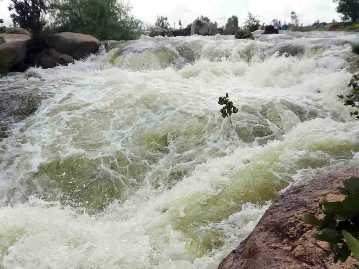 Bomraspet : బొంరాస్‌పేట మండలంలో భారీ వర్షం.. అలుగులు పారుతున్న చెరువులు
