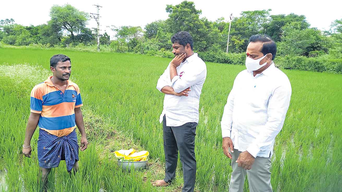 ఈటలతో రేవంత్‌ చీకటి ఒప్పందం