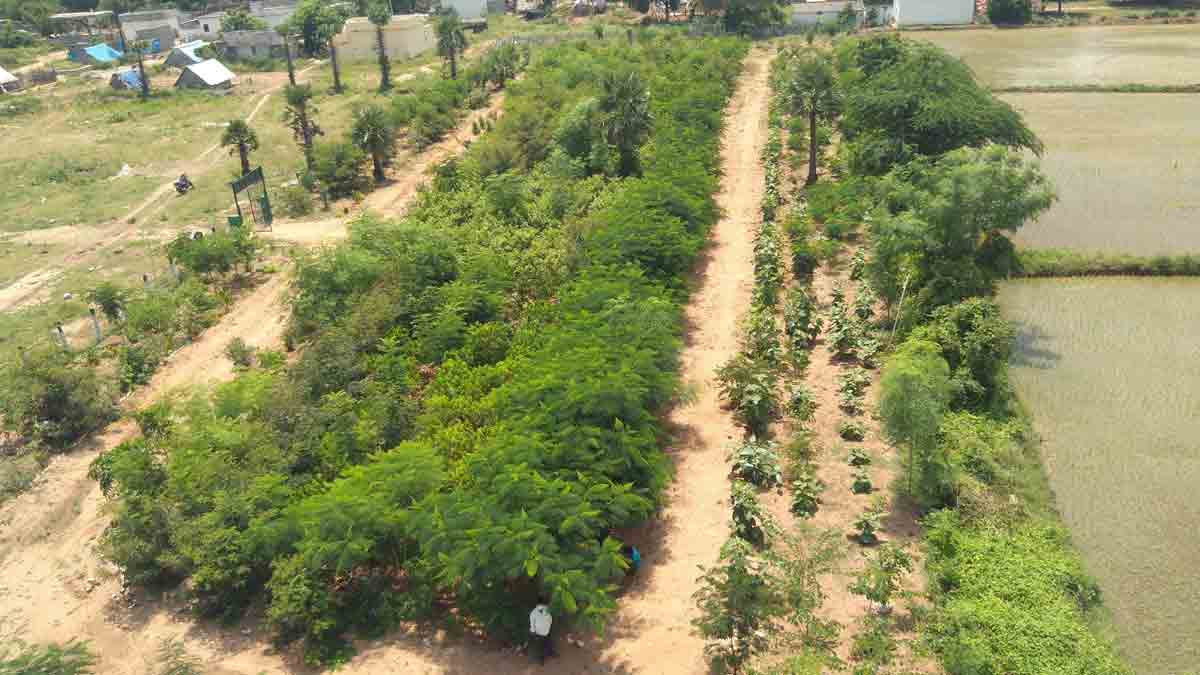 ప్రగతి తెచ్చిన మార్పు ముందే పన్ను చెల్లింపులు