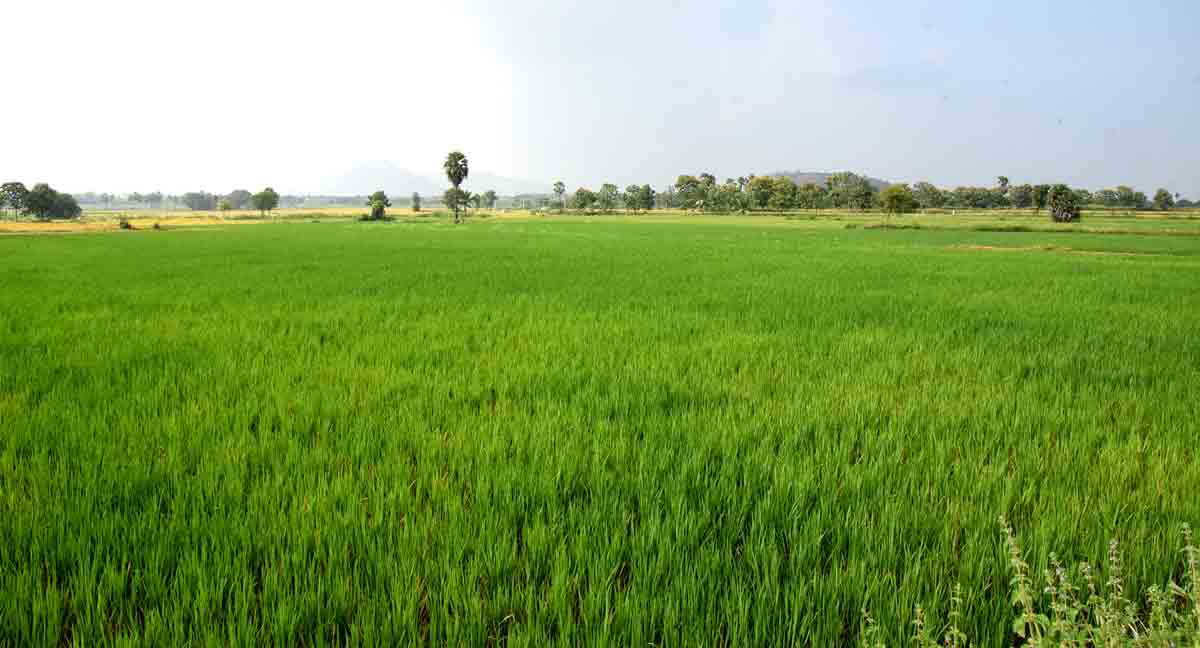 దీపం వెలుగని గ్రామం