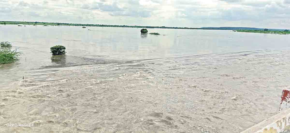 మంజీర+ గోదావరి మహోధృతి