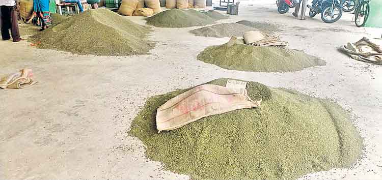 పెసర్లు@ 7,549