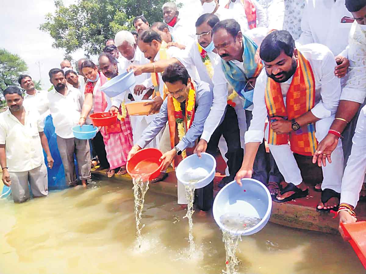 మత్స్యకారుల అభివృద్ధికి ప్రభుత్వం చర్యలు