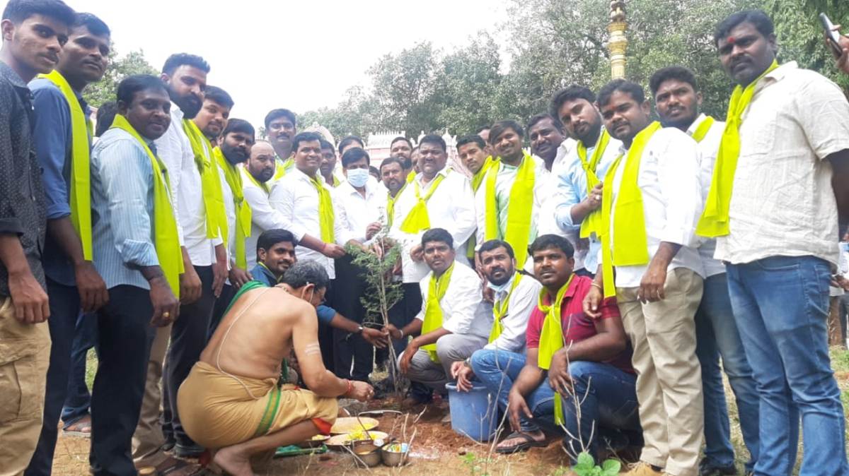 green challenge | ఓయూ సరస్వతీ ఆలయంలో జ‌మ్మిమొక్కను నాటిన గాదరి కిశోర్‌
