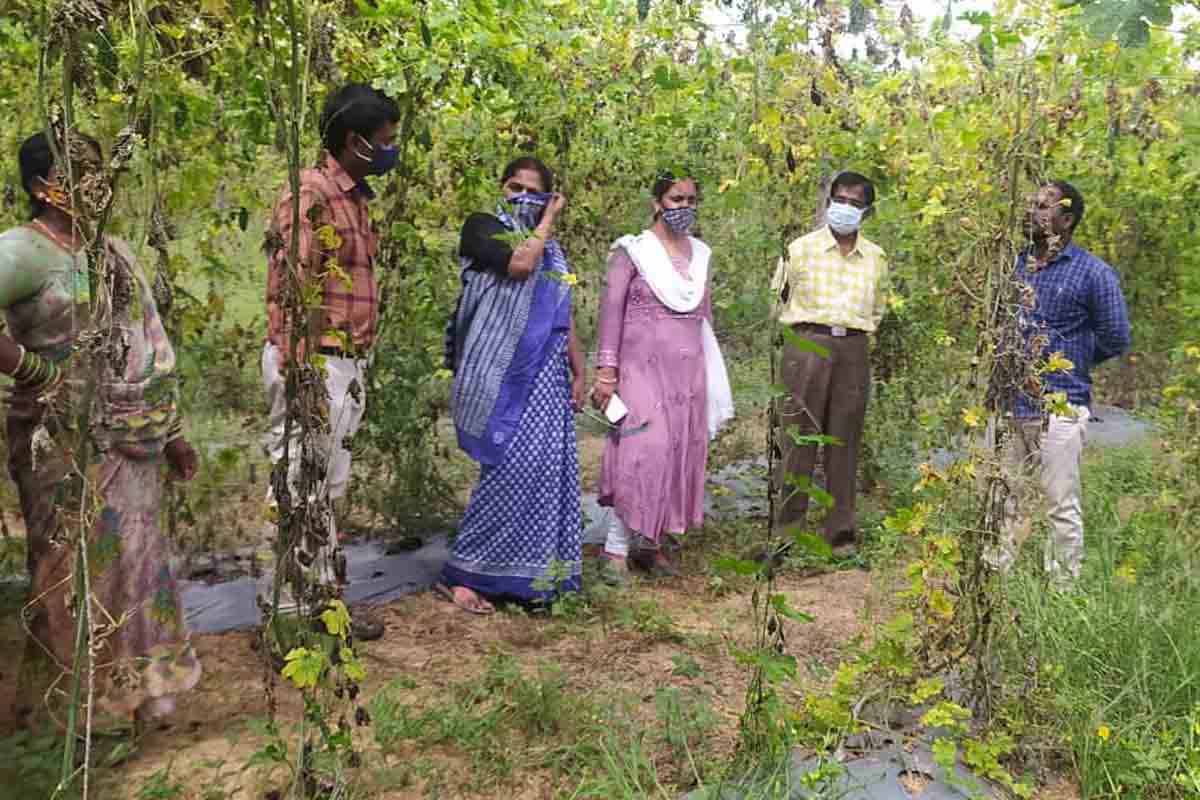 క్షేత్రస్థాయి పర్యటనకు వాసాలమర్రి దళితులు