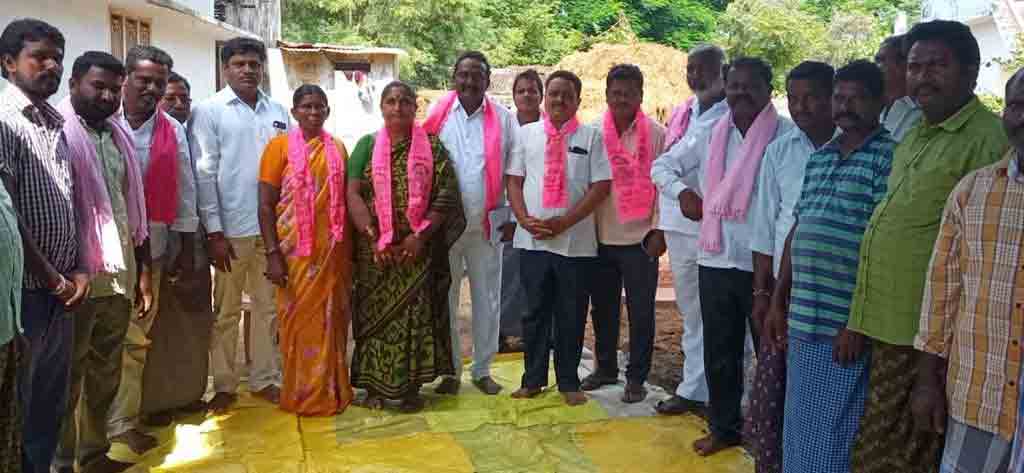 ఊరూరా.. టీఆర్‌ఎస్‌ గ్రామ కమిటీల ఎన్నికలు