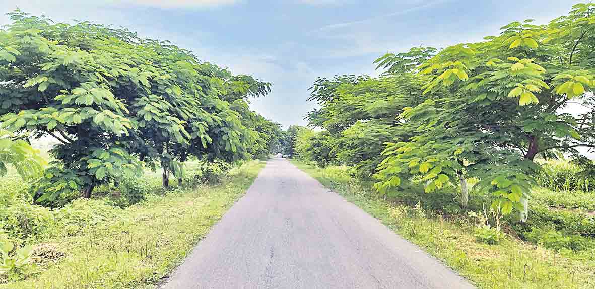 బూర్గుల్‌.. అభివృద్ధి వెలుగుల్