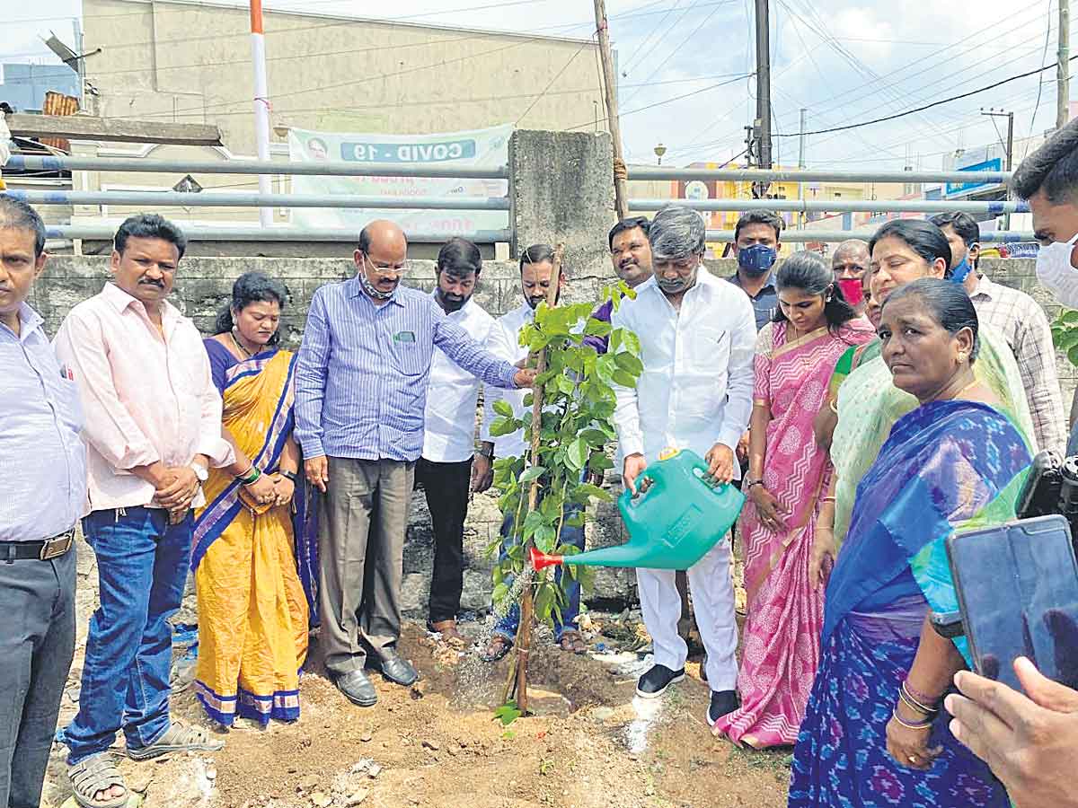 హరితహారం దేశానికే ఆదర్శం