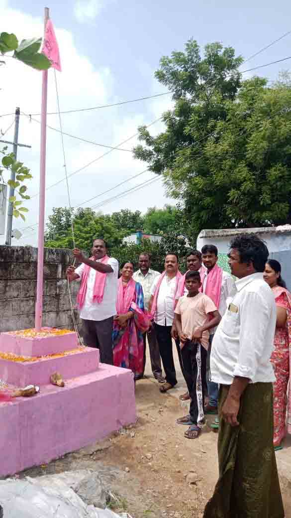 ఊరూవాడ జెండా జోష్