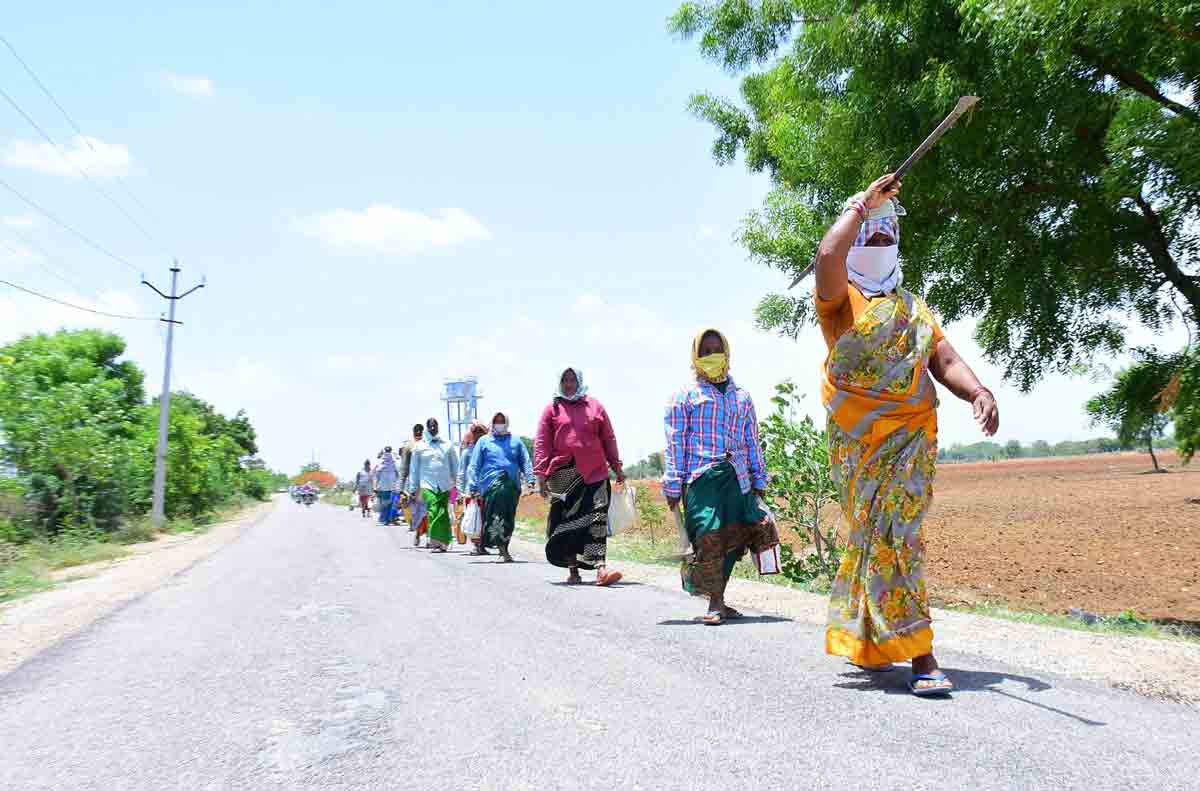 ఉపాధి పనుల్లో.. మహిళాశక్తి