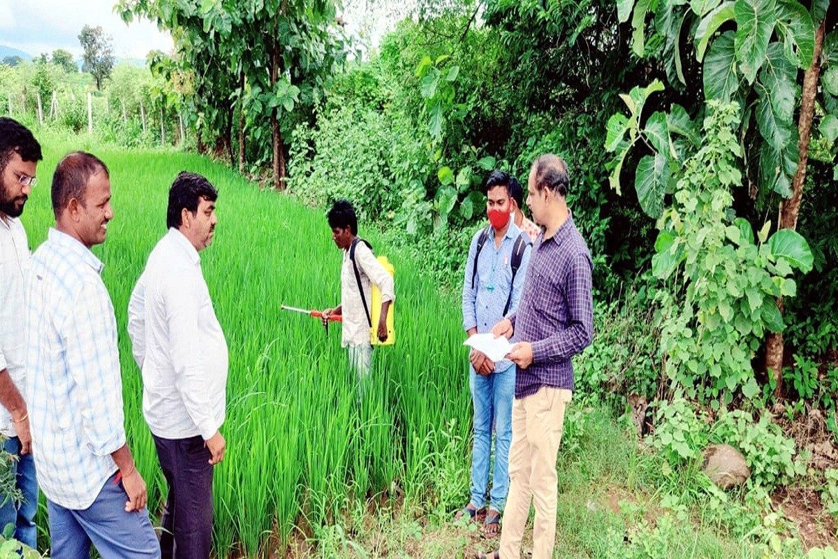 రైతులు ఆయిల్‌పామ్‌ తోటల పెంపకంపై దృష్టి సారించాలి