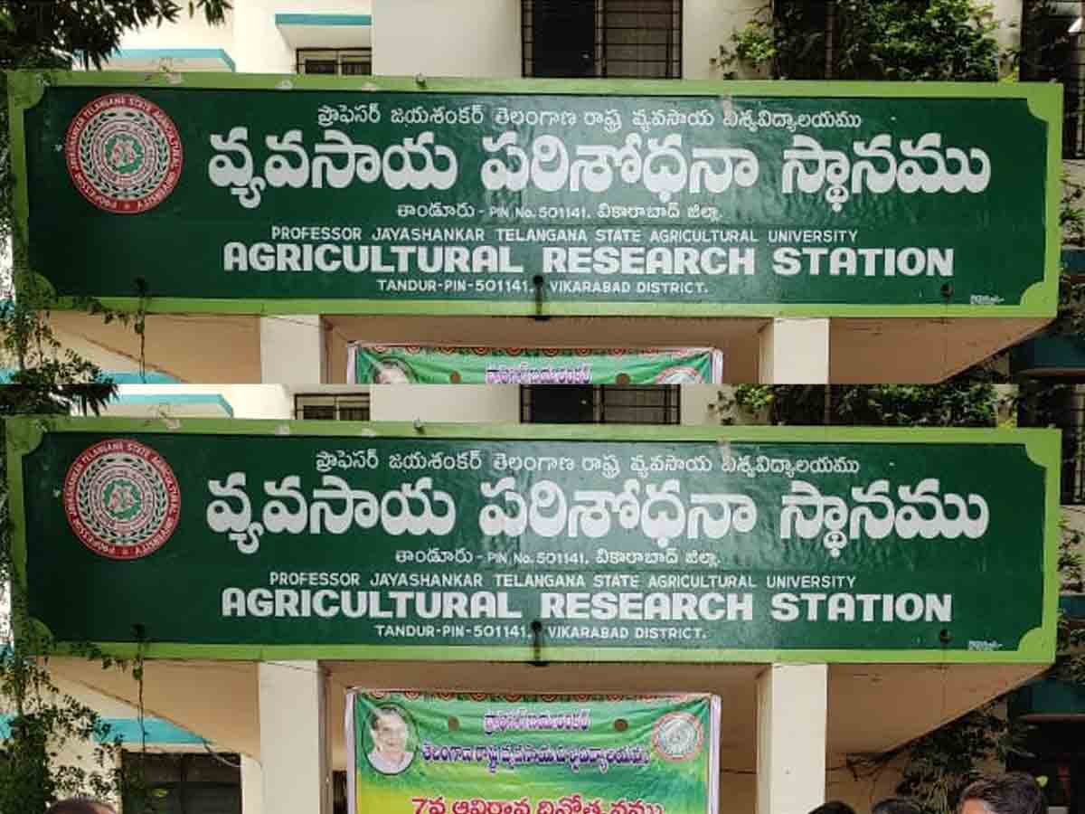 ఆఫీసుకు తాళం వేశాడని ఏఈవోపై క్రమశిక్షణ చర్యలు