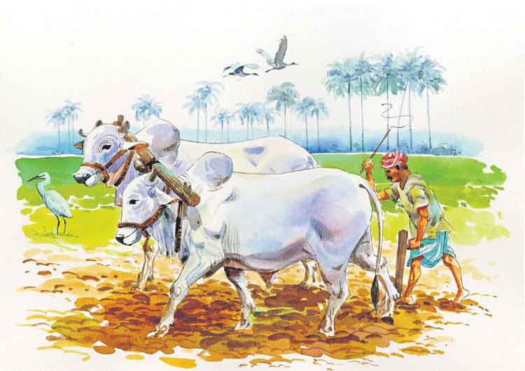 రైతు బతుకు