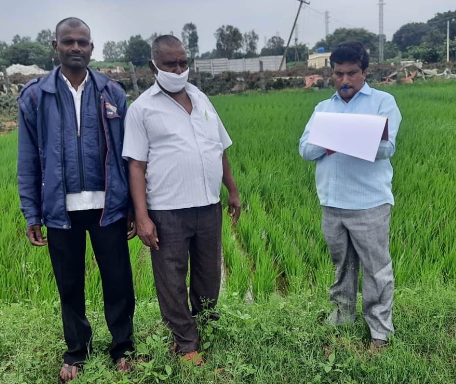monsoon crops | పకడ్బందీగా వానకాలం పంటల సాగు – వివరాల సేకరణ సర్వే