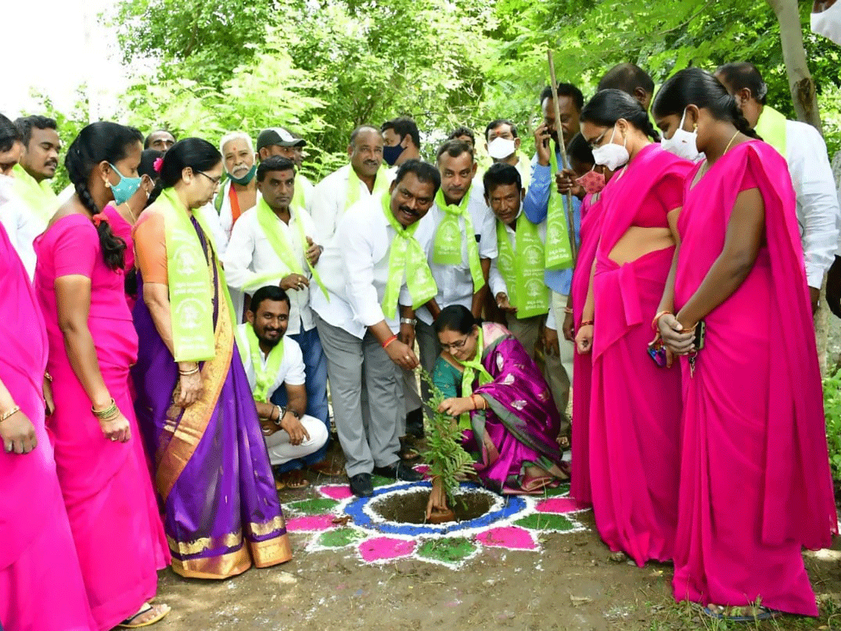 గుడి ఆవరణలో జమ్మి మొక్కను నాటాలి : ఎమ్మెల్యే రవిశంకర్‌