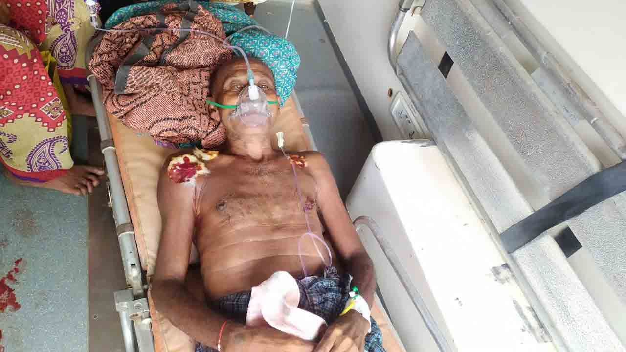 పులి దాడిలో మేకల కాపరికి తీవ్రగాయాలు