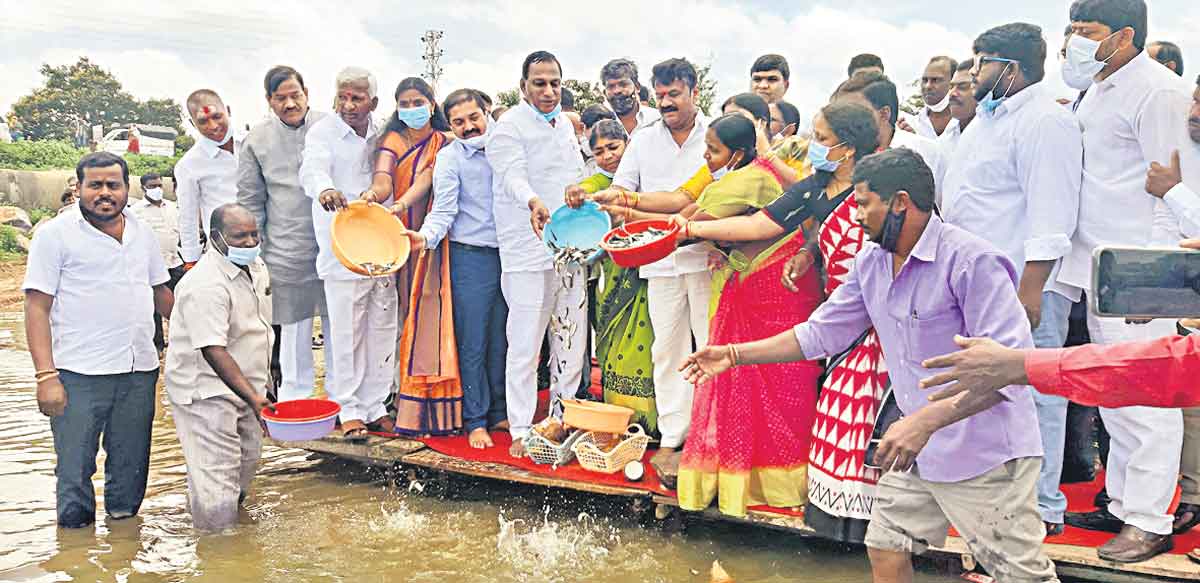 ఎక్కడ నీళ్లుంటే .. అక్కడ చేపలుండాలి