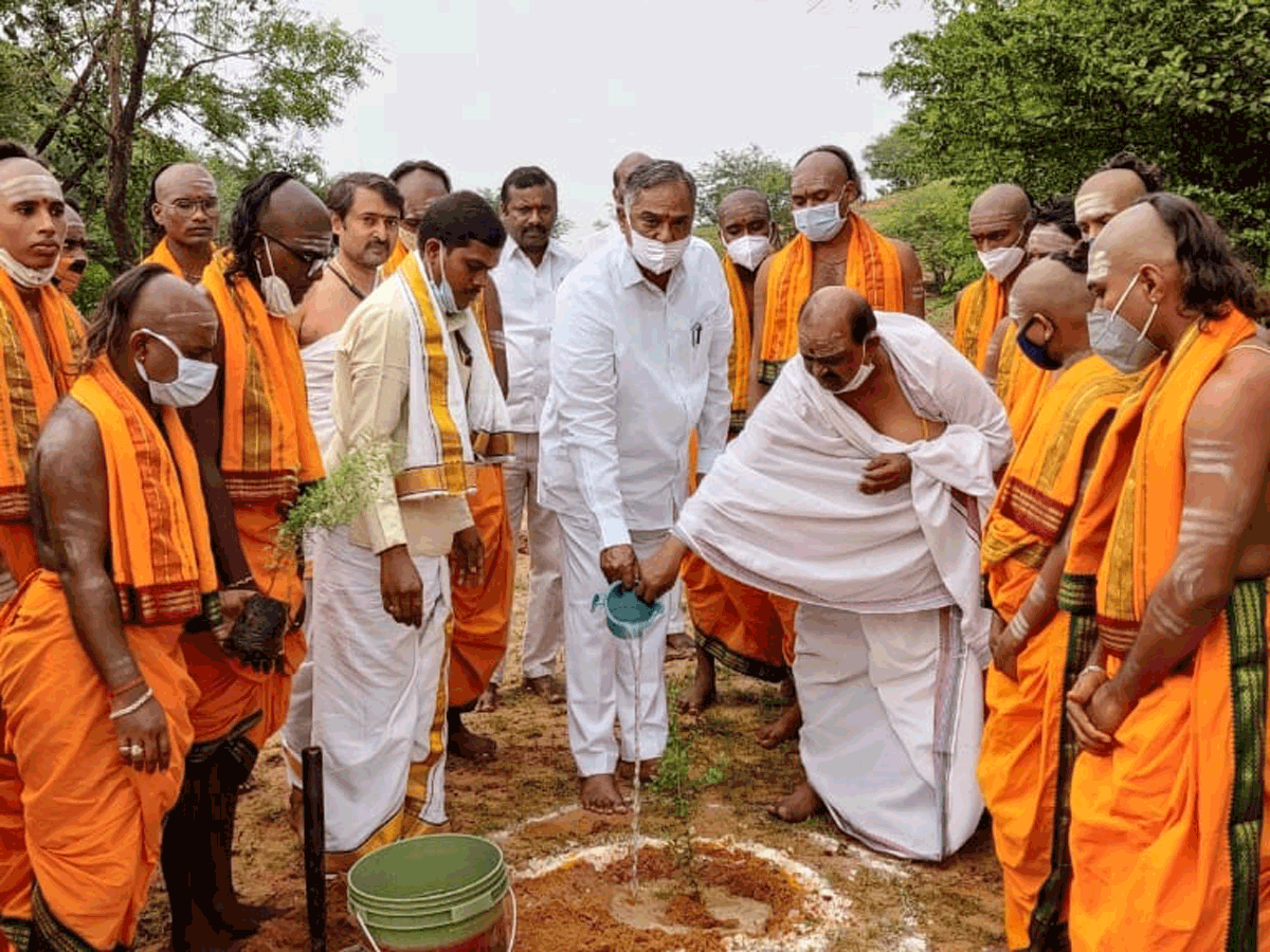 రాష్ట్రంలో విస్తృతంగా మొక్కల పెంపకం : ఎమ్మెల్యే మనోహర్‌రెడ్డి