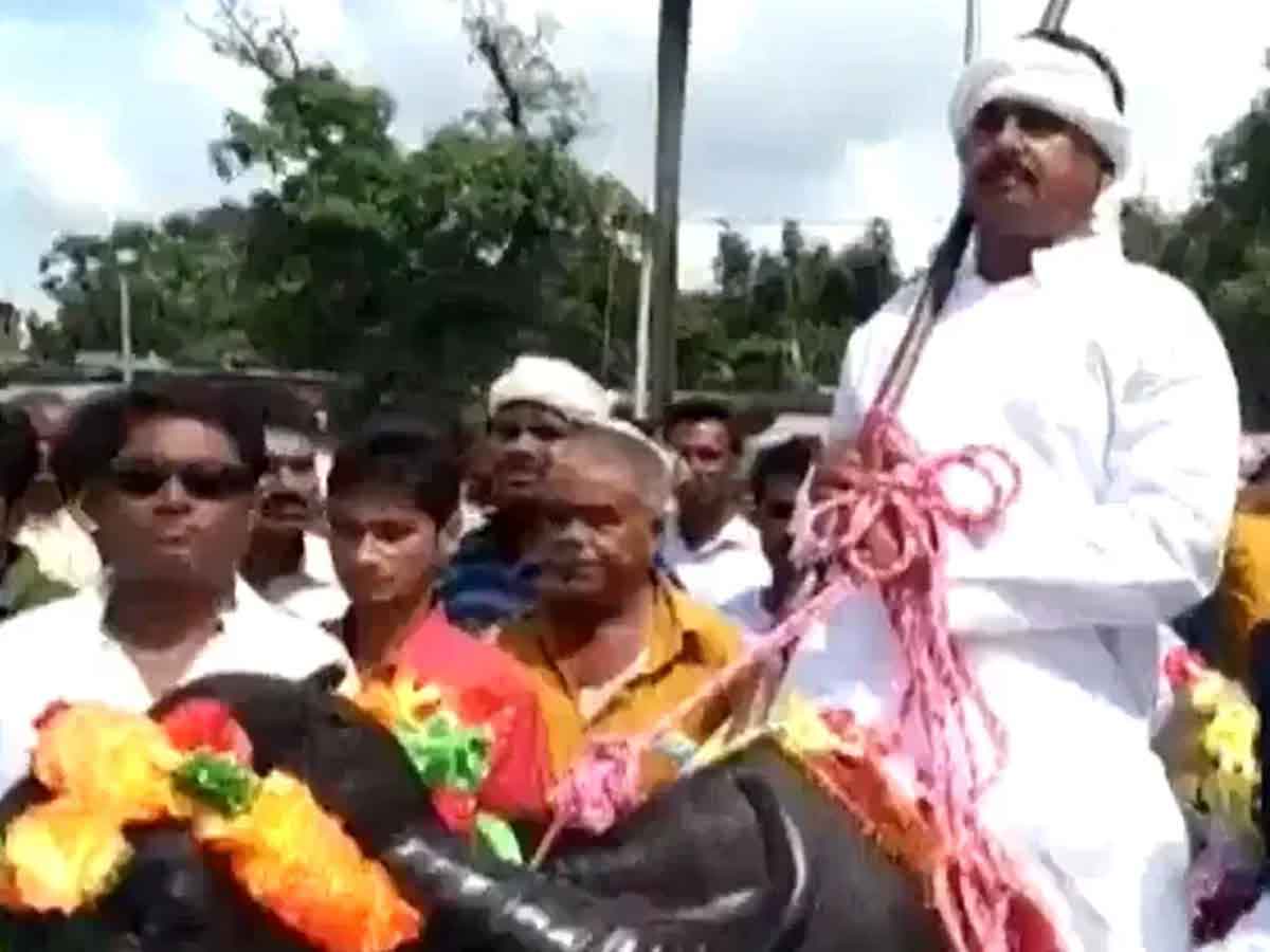 Bihar Polls : బర్రెపై ఎక్కి వచ్చి నామినేషన్‌ దాఖలు.. ఎక్కడంటే..?