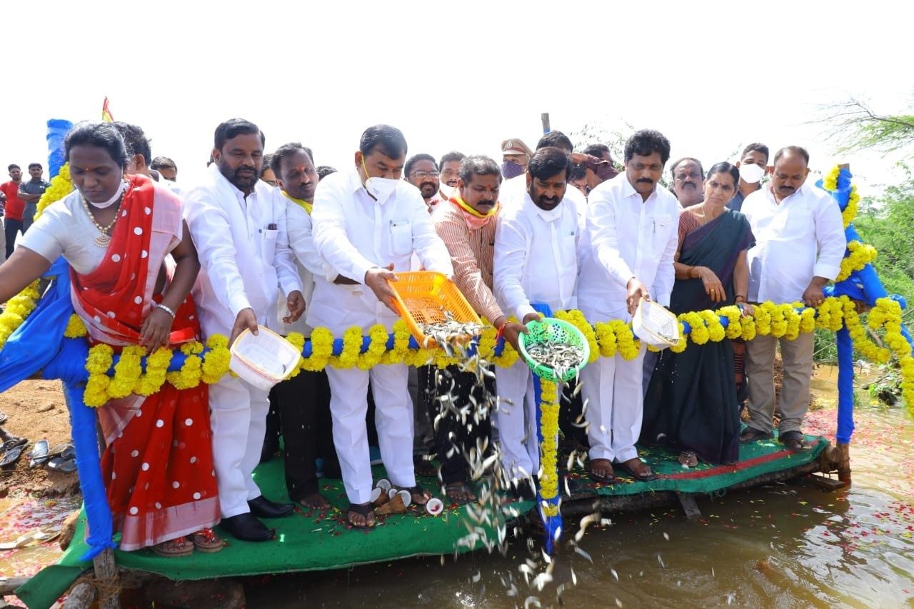 Suryapeta: మత్స్యకారుల జీవితాల్లో వెలుగులు