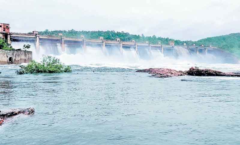 కల్పతరువు.. కడెం