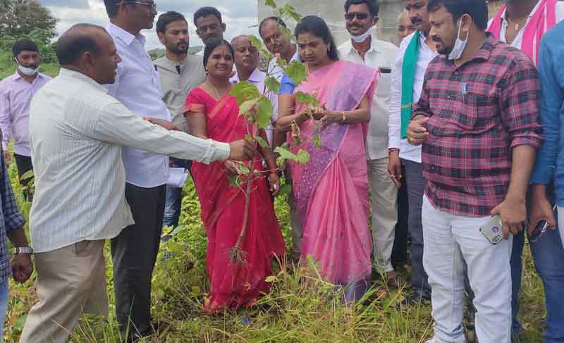 అక్రమ లే అవుట్లు తొలగించాలి