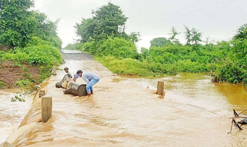 జోరు వాన