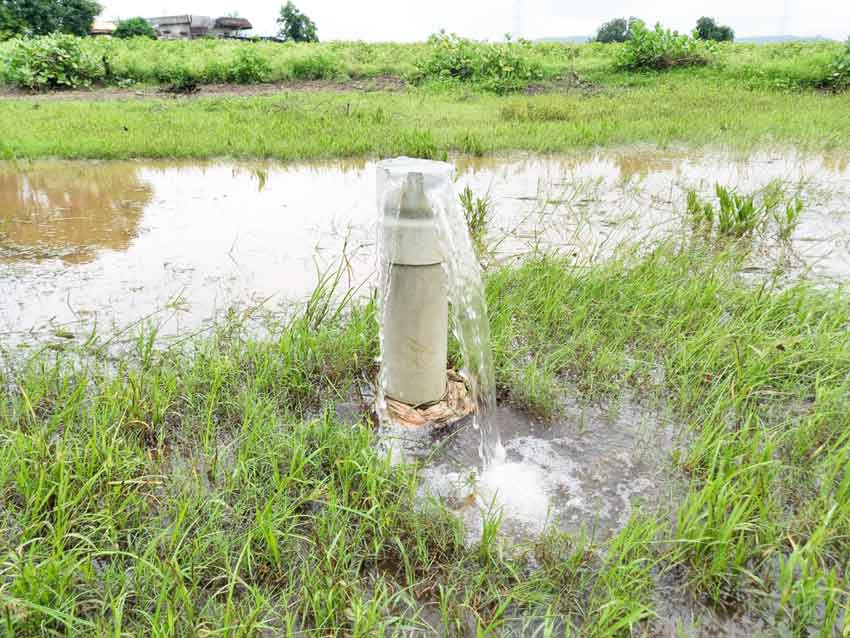 జలపరవశం